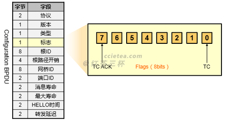 【STP】STP（802.1D）端口状态及拓扑变更 802.1d 802.1q