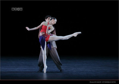 古典芭蕾大双人舞简介 芭蕾舞双人舞图片