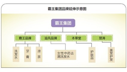 从霸王凉茶失误警惕品牌延伸的危害 凉茶