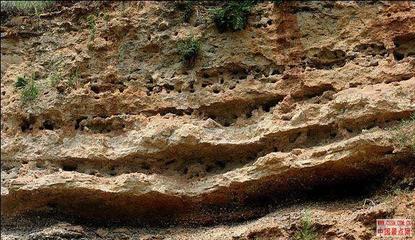 河南西峡恐龙蛋化石遗址 河南西峡恐龙蛋化石群