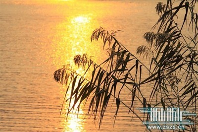 浔阳江头夜送客 浔阳江在哪里