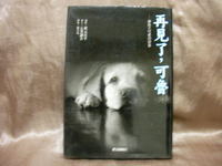 《贝鲁娜的尾巴》很不错的小说关于导盲犬的 奇贝鲁的书房4