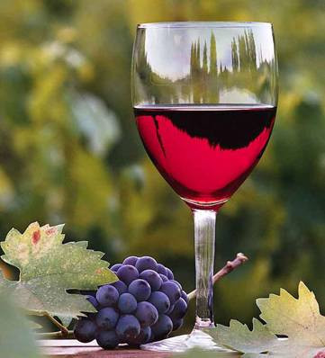 法国葡萄酒文化及著名庄园简史 法国云塔庄园红葡萄酒