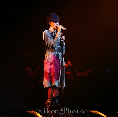 拍摄：王菲2010北京演唱会