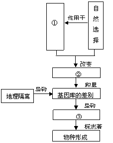 中国杂交小麦之父李振声 小麦育种专家李振声