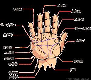 [转载]手纹很乱代表什么？手掌纹各代表什么寓意？ 女人手掌手纹密布