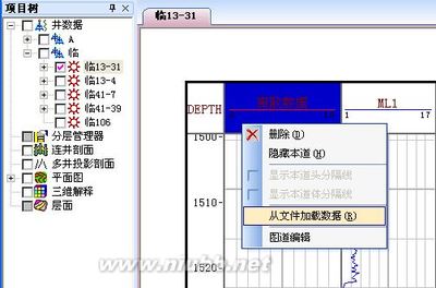 石文软件 geomap软件