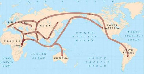 人种起源 中国人种起源和非洲