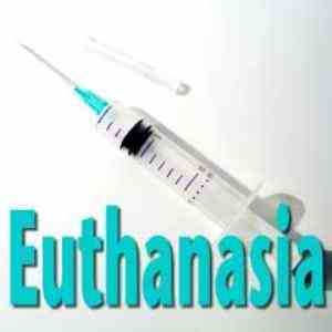 euthanasia euthanasia什么意思