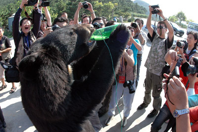 2014威海西霞口野生动物园门票特价预定中 荣成西霞口野生动物园
