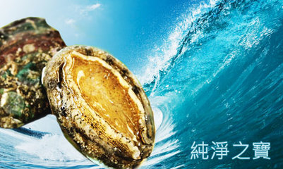 鲍鱼-四大海味之首 鲍鱼的味道