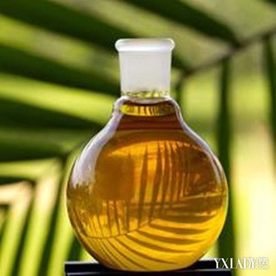 茶花油的美容功效 油橄榄果油美容功效