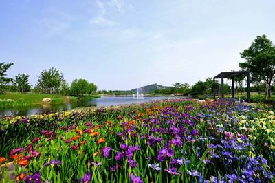 辰山植物园VS上海植物园 上海植物园好玩吗