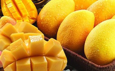 芒果的功效与作用、吃芒果的好处和坏处 青芒果的功效与作用
