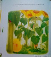 [每周一书]绘本的多元阅读——读《小鸡球球和向日葵》 小鸡球球和向日葵ppt