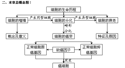 概念图的概念 细胞的生命历程概念图