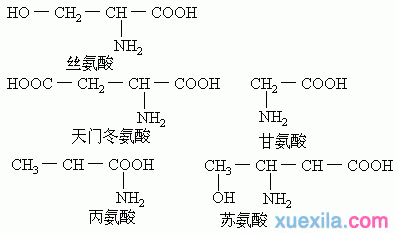 氨基酸缩写 20个氨基酸缩写记忆