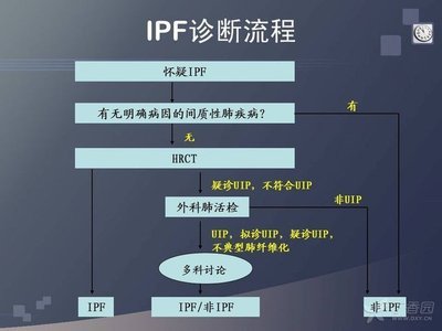 特发性肺间质纤维化的诊断治疗指南 肺结核诊断和治疗指南