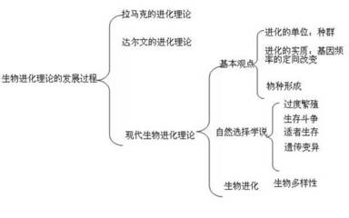 片断教学与说课之区别 教学片断设计