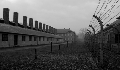 《奥斯维辛集中营的故事》巴金 奥斯维辛集中营惨案