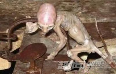 人类与动物的本质区别 中国受到外星人警告
