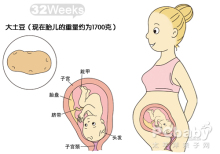 图解健康怀孕40周孕期全程手册 图解健康手诊速查手册