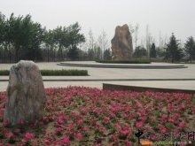 绿堤公园—北京市最大的郊野公园 北京郊野公园