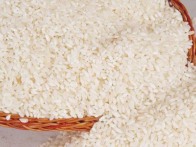 大米种类 优质大米品种