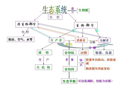 《生态系统》一节概念教学 城市生态系统概念