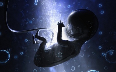 孕妇血浆DNA测序揭示胎儿的全基因组的遗传和基因突变 全基因组重测序
