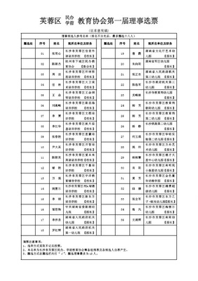 选票改变台湾 党代表选票