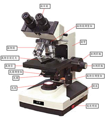 显微镜分类与构造原理介绍 光学显微镜的构造