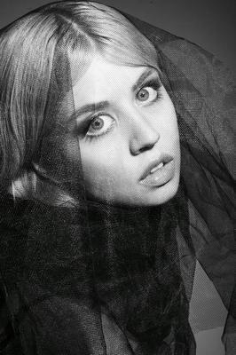 AllisonHarvard allison harvard