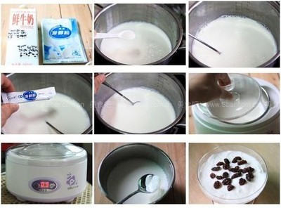 酸奶的制作方法 酸奶机怎么做酸牛奶