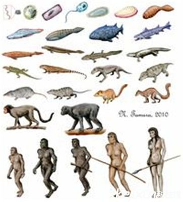 看《远古生物大灭绝》 远古生物大灭绝纪录片