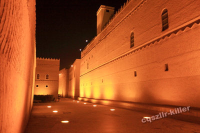 沙特阿拉伯首府利雅得之国家博物馆和王国塔 沙特利雅得单轨