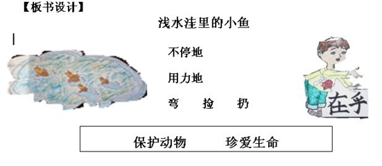 《浅水洼里的小鱼》第二课时教学设计及反思 zcs第二课时教学反思