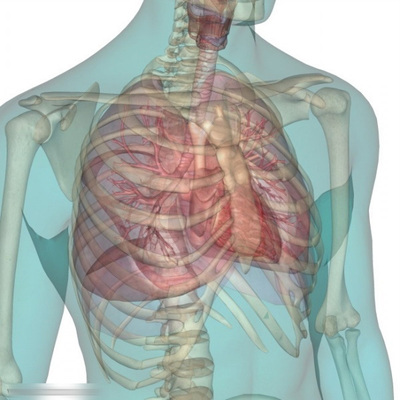 3D高清人体解剖图谱 人体解剖彩色图谱 pdf