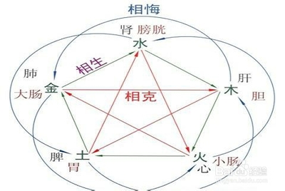 生肖属龙的人五行属什么_易经学者 属龙五行属什么