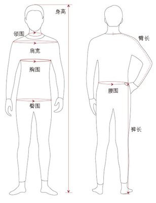 身体各部位尺寸测量方法（有更新...） 身体各部位标准尺寸