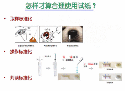 犬瘟和细小如何治疗的详细资料！ 犬瘟细小测试纸