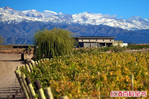葡萄酒年份指南之智利产区 智利产区图