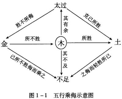 认识天干地支的五行属性 天干地支的五行