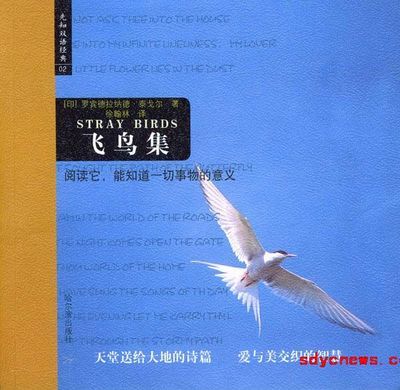 《飞鸟集》325篇中英对照 飞鸟集中英文