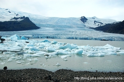 【冰岛】北大西洋暖流唤醒了冰山上的来客 北大西洋暖流 英文