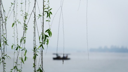 我对“昔我往矣，杨柳依依；今我来思，雨雪霏霏”的理解 今我来思 雨雪霏霏