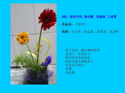 中国现代插花艺术 现代自由式艺术插花