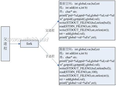 fork函数小结 fork函数头文件