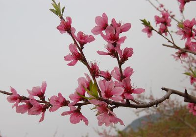 《中国教师报》投稿邮箱：