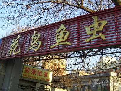 上海花鸟花卉市场（史上最全，最大）攻略 北京最大花鸟鱼虫市场